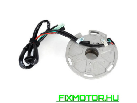 Generátor állórész Suzuki RM125 1989-1995 1990 1991 1992 1993 1994 Suzuki RM250 1994-1995 RM 125 250 32101-27C00