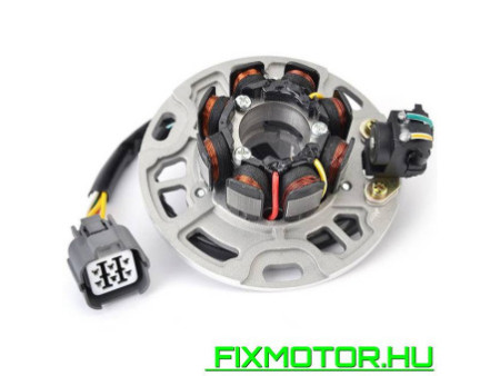 Generátor állórész Kawasaki KX 250 KX250 2005-2008 2006 2007 21003-0018 21003-0050 KAWASAKI: 21003-0050