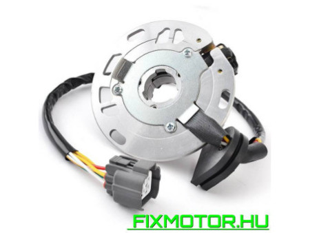 Generátor állórész Kawasaki KX 250 KX250 2005-2008 2006 2007 21003-0018 21003-0050 KAWASAKI: 21003-0050