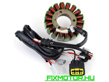 Generátor állórész Yamaha WR 250R 250X 2007-2012 2014 2016 2017 3D7-81410-00 3D7-81410-01 WR250R WR250X