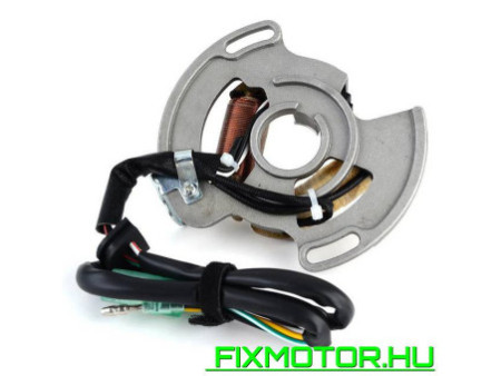 Generátor állórész Yamaha YFS 200 YFS200 Blaster 2003-2007 2004 2005 2006 5VM-85560-00 YAMAHA: 5VM-85560-00