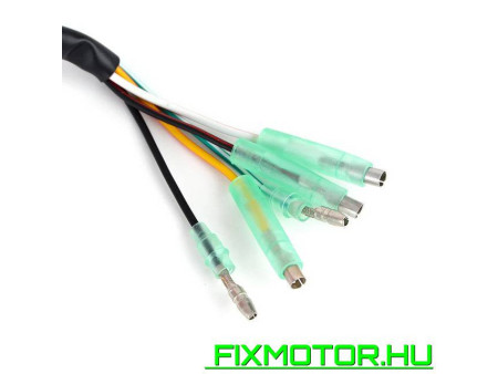 Generátor állórész Yamaha YFS 200 YFS200 Blaster 2003-2007 2004 2005 2006 5VM-85560-00 YAMAHA: 5VM-85560-00
