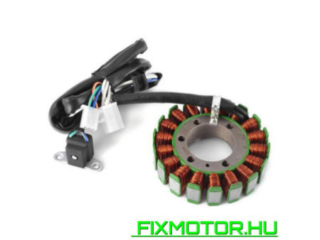 Generátor állórész Yamaha XTZ660 Tenere Virago 125 250 XV125 XV250 SRV250 250 3DM-81410-00 2UJ-81410-00-00 4DN-81410-00