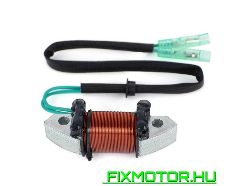 Generátor állórész Yamaha 40HP 50HP 1989-1994 6H5-85533-01 YAMAHA: 6H5-85533-01