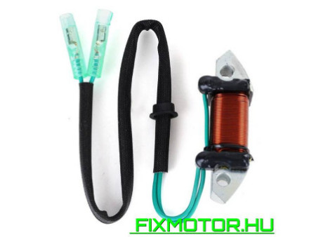 Generátor állórész Yamaha 40HP 50HP 1989-1994 6H5-85533-01 YAMAHA: 6H5-85533-01