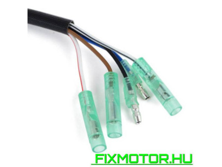 Generátor állórész Yamaha Outboard 25HP 30HP 2 ütem 69P-85541-09 61N-85543-09 61N-85543-19 69P-85541-09