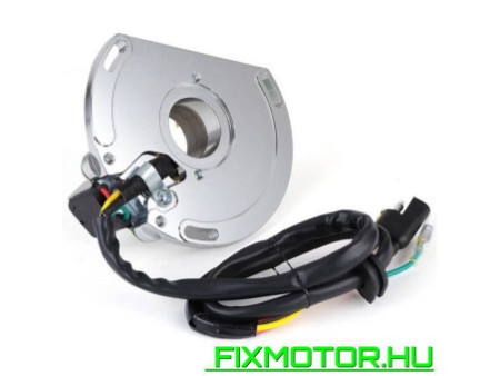 Generátor állórész KTM SX EXC Six Days EGS SGP MXC 125 200 250 300 380 2k-2 Model 50339004100 KTM: 50339004100