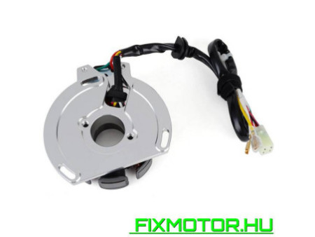 Generátor állórész KTM 125 200 250 300 SX XC XCW MXC EXC 2k-3 model HQ TE 125 For Husaberg TE125 HQV 54839204000