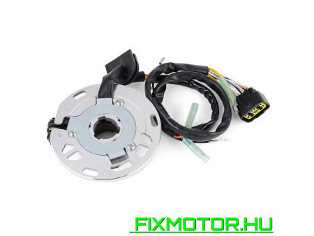 Generátor állórész Kawasaki KX 125 2003 2004 2005 21003-1394 21003-0021 KX125-M1 KX125-M2 KX125-M3 KX125
