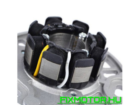 Generátor állórész Kawasaki KX 125 KX125 KX125-L1 1999 KX125-L2 2000 21003-1339 21003-1381
