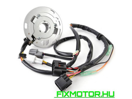 Generátor állórész Kawasaki KX 125 125-K5 1998 21003-1321 21003-1379 KX125 KX125-K5 KAWASAKI: 21003-1321 21003-1379