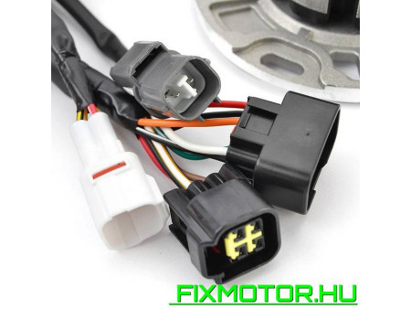 Generátor állórész Kawasaki KX 125 125-K5 1998 21003-1321 21003-1379 KX125 KX125-K5 KAWASAKI: 21003-1321 21003-1379