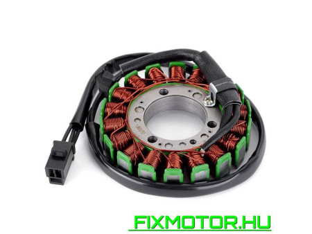 Generátor állórész Kawasaki Ninja ZX6R ZX6 ZX-6 ZRX400 ZR400 ZRX-II ZX400 ZZR ZX 500 500 600 ZX ZZR 21003-1214 21003-1368