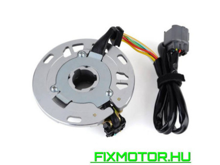Generátor állórész Kawasaki KX 250 1999-2004 21003-1 37121003-1340 21003-1389 21003-1401 21003-1400 KX250