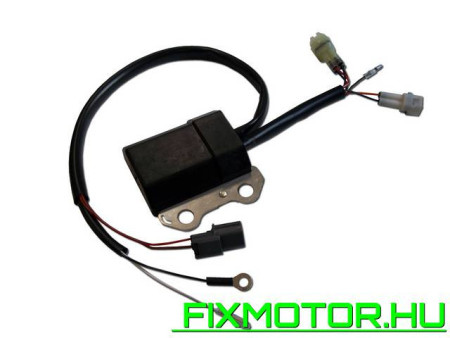 KTM 250 SX (2000) 250 CDI motorvezérlő gyújtáselektronika 54639031300